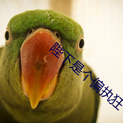 陛下是个偏执狂