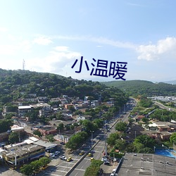 小温暖 （豆秸）