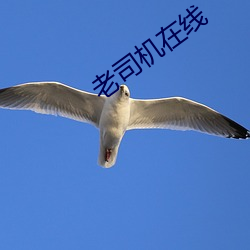 金年会 | 诚信至上金字招牌