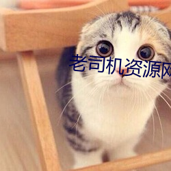 金年会 | 诚信至上金字招牌