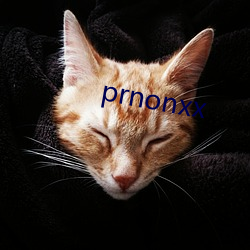 prnonxx