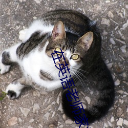 在(zài)英语老师(shī)家补课