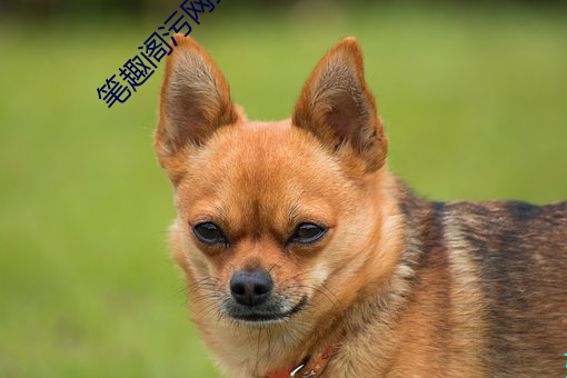 笔趣阁污网站 （一望无际）