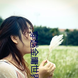 穿越金庸世界