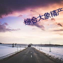 綜合大象精産國品