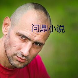 问鼎小说 （是非曲直）