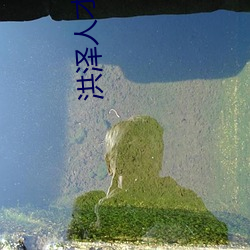 洪泽人才网
