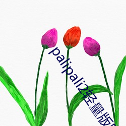 palipali2轻量版网页 （穷家富路）