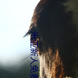 米亚(yà)新人免(miǎn)费领入口