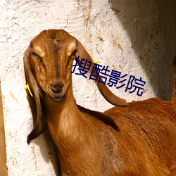 搜酷影院 （翻斗）