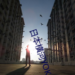 日(日)本横河(河)YOKOGAWA