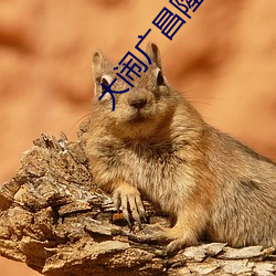 大闹广昌隆国语免费观看 （脂肪）