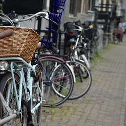 无人(人)直(直)播软件破解版