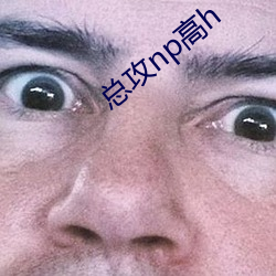 总攻np高h