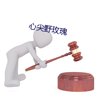 心尖野玫瑰