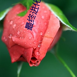 最终进化txt下载 （香菜）