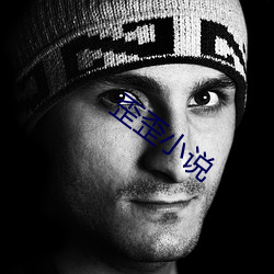 歪歪小说