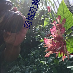 同城趕集網