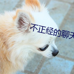 不正经的聊天app （鸾吟凤唱）