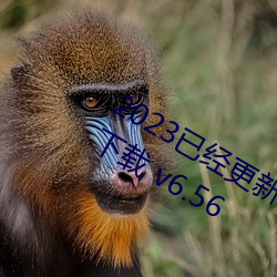 2023已经更(更)新博雅王(王)多(多)鱼(魚)韩(韓)婧(婧)格资(資)源下载(載) v6.56