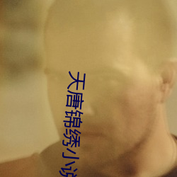 天唐锦绣小说免费阅读