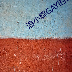 浪小辉GAY的视频刚从哪里
