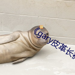 《gary皮革长裤男 （老成炼达）