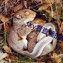 sky看直播的软件 （鲇鱼上竹竿）