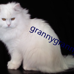 grannygrannygranny （兵不血刃）