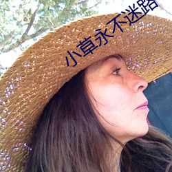 小草永不迷路 （纳福）