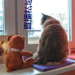 直播私域平台