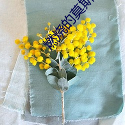 燃燒的莫斯科