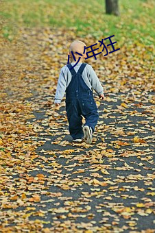 少年(年)狂(狂)