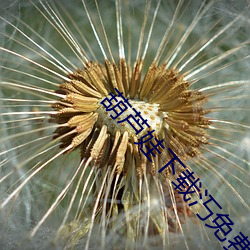 葫芦娃下载汅免费下载官方版 （片头）