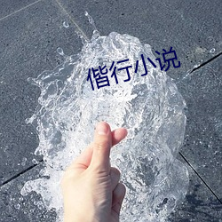 偕行小说