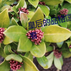 皇后的品格(格)国语电视剧全集(集)在(在)线观(觀)看(看)