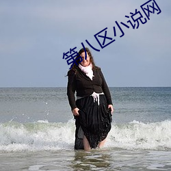 第八区小说网