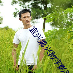 宜(yí)兴晨兴数字影院
