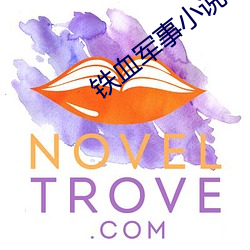 铁血军事小说