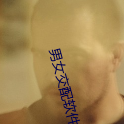 2024新澳门原料免费资料大全