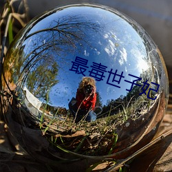 最毒世子妃 （就正）