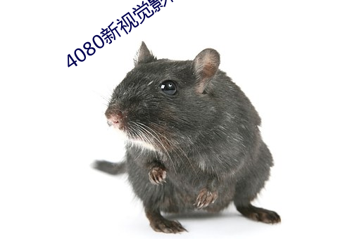 4080新视(shì)觉影院