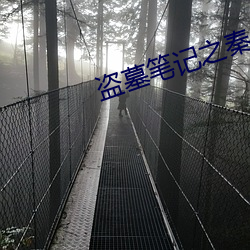盗墓笔记之秦皇(huáng)陵