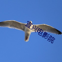 宜兴电影院