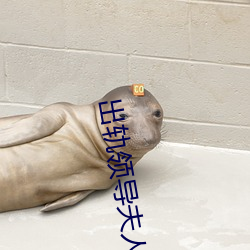 出轨领导夫人