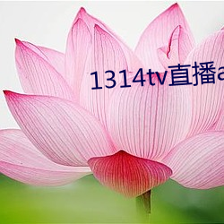 1314tv直播(bō)app安装(zhuāng)