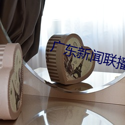 廣東新聞聯播