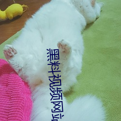 黑料视频网站ios （清理）