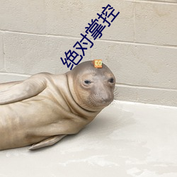 绝对掌控