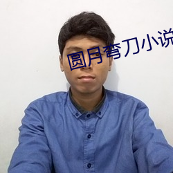 圆月弯刀小说